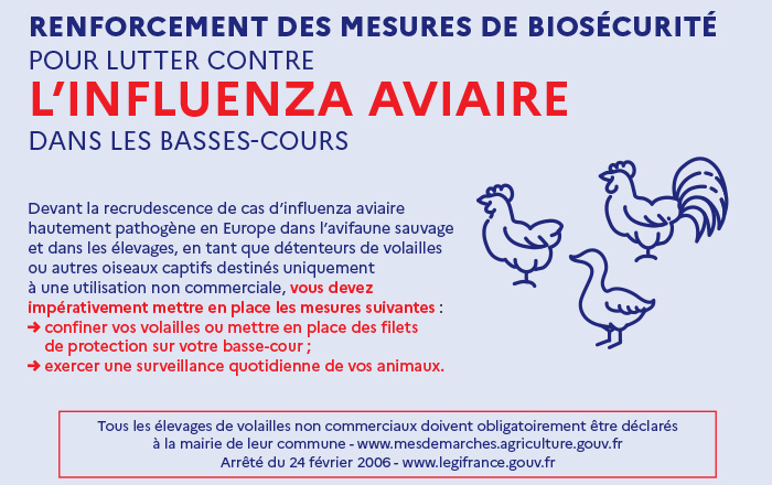 Visuel-Grippe-aviaire-pour-web.jpg