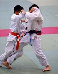 logo judo.jpg
