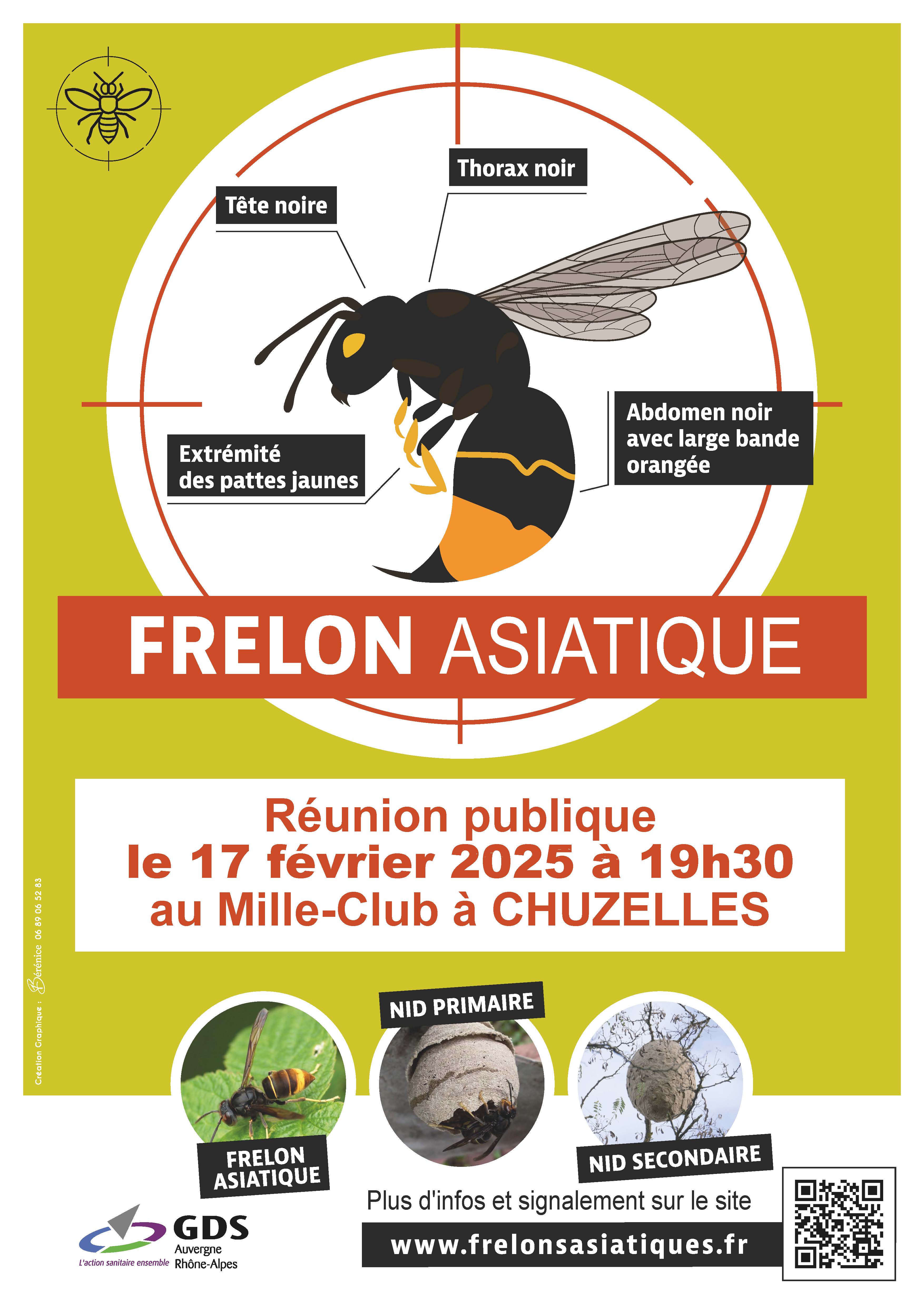 Frelon reÌunion.jpg