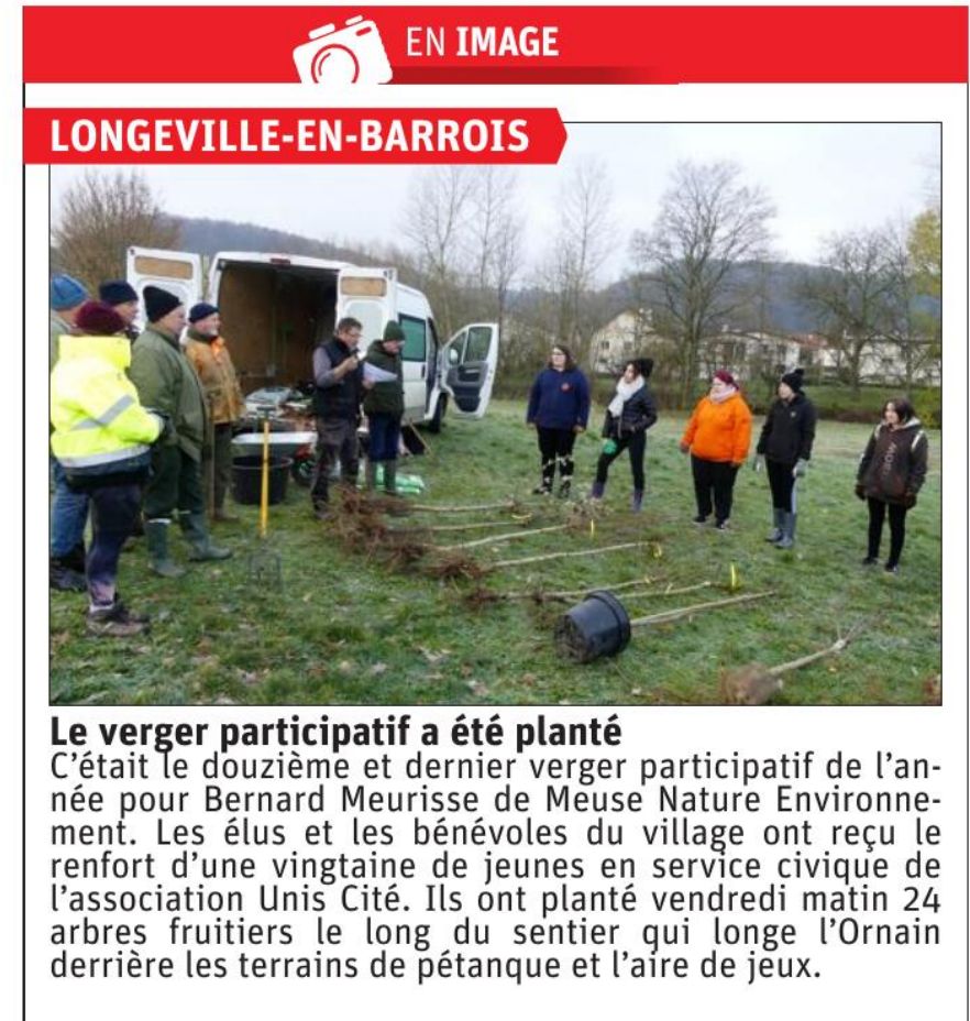 VERGER PARTICIPATIF.png