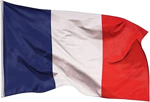 61bApSZfFhL._AC_SY300_SX300_QL70_ML2_.jpg