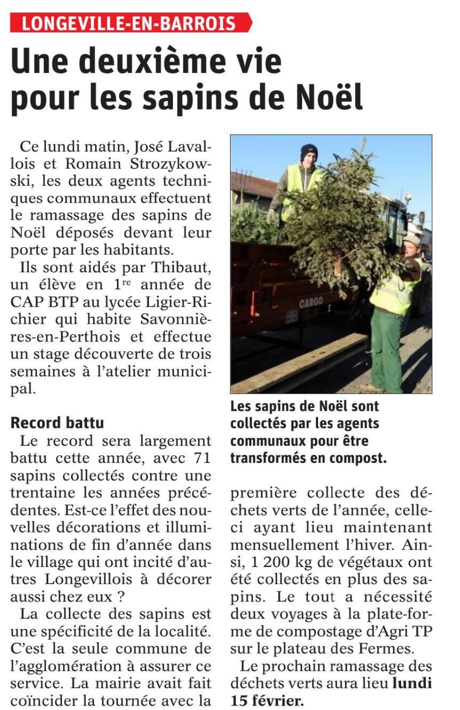 rammassage sapins suite.png