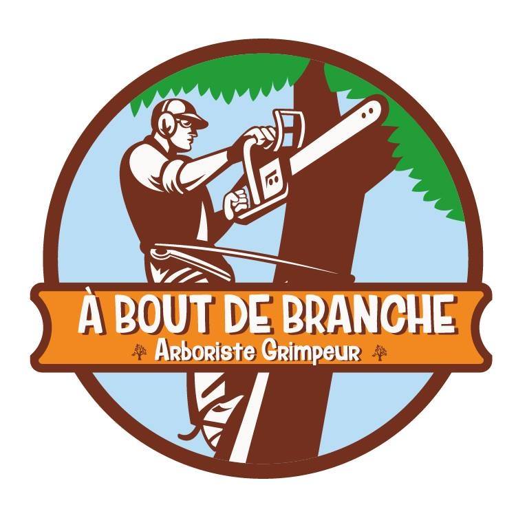 a bout de branche.jpg