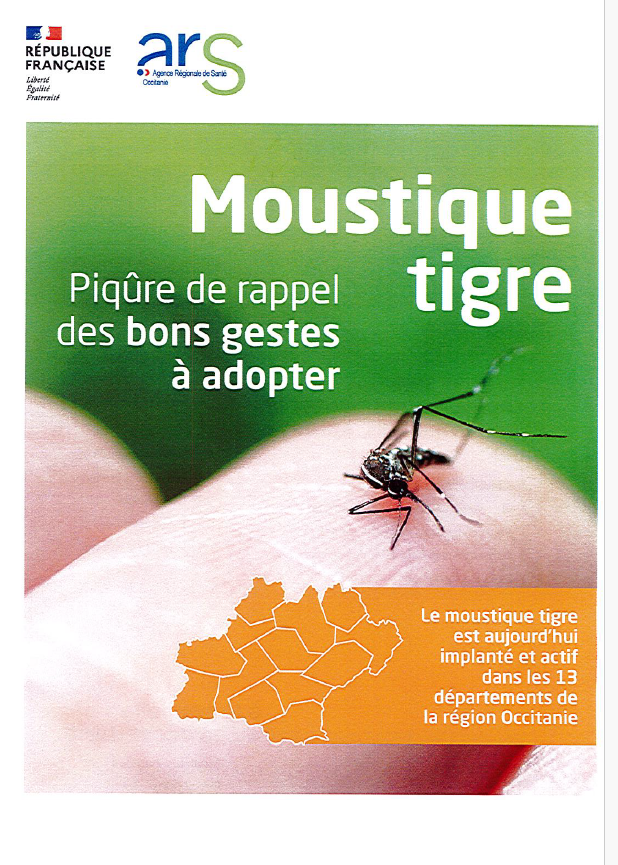 moustiques .png