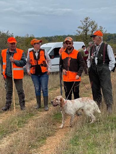 Rencontres Saint-Hubert la finale échappe à nos chasseurs.jpg