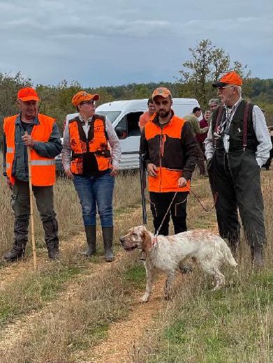 Rencontres Saint-Hubert  la finale échappe à nos chasseurs.jpg