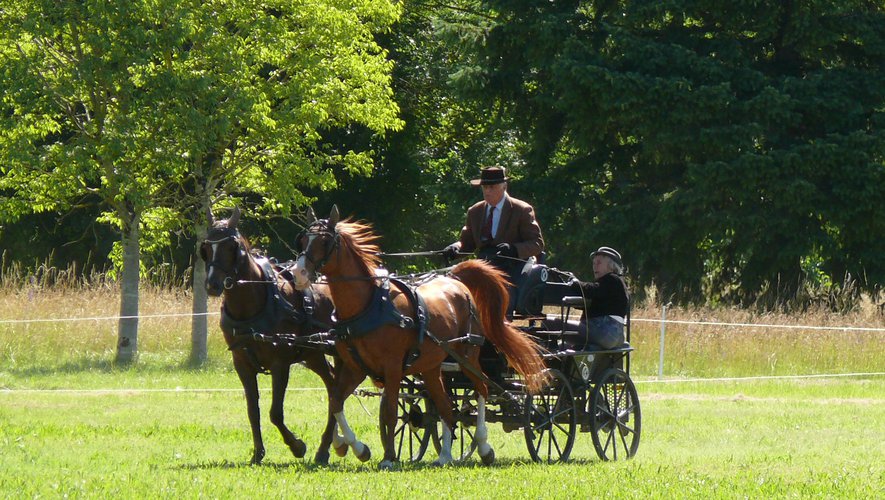 Le concours d’attelage revient au galop à Monteils, ce week-end.jpg