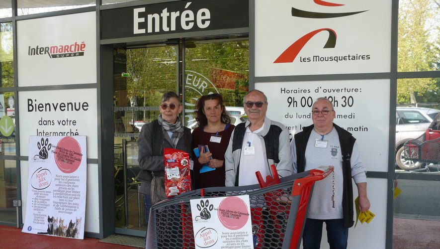Une association solidaire des chats errants.jpg