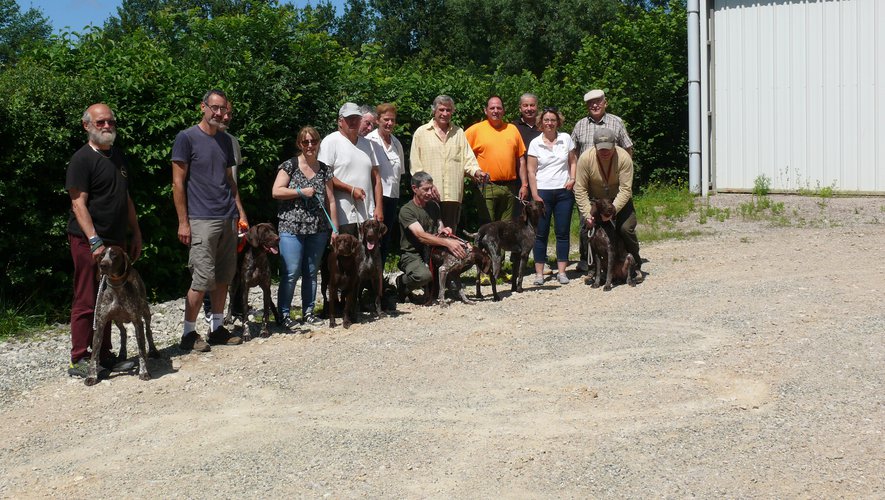 Le braque allemand a démontré ses qualités naturelles.jpg