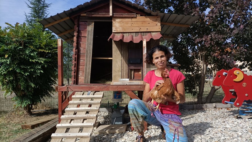 à Monteils, une nouvelle vie pour les poules destinées à l’abattoir.jpg