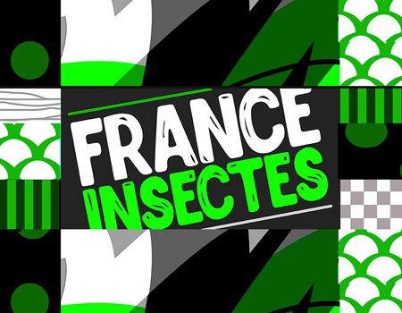 logo France Insectes.jpg