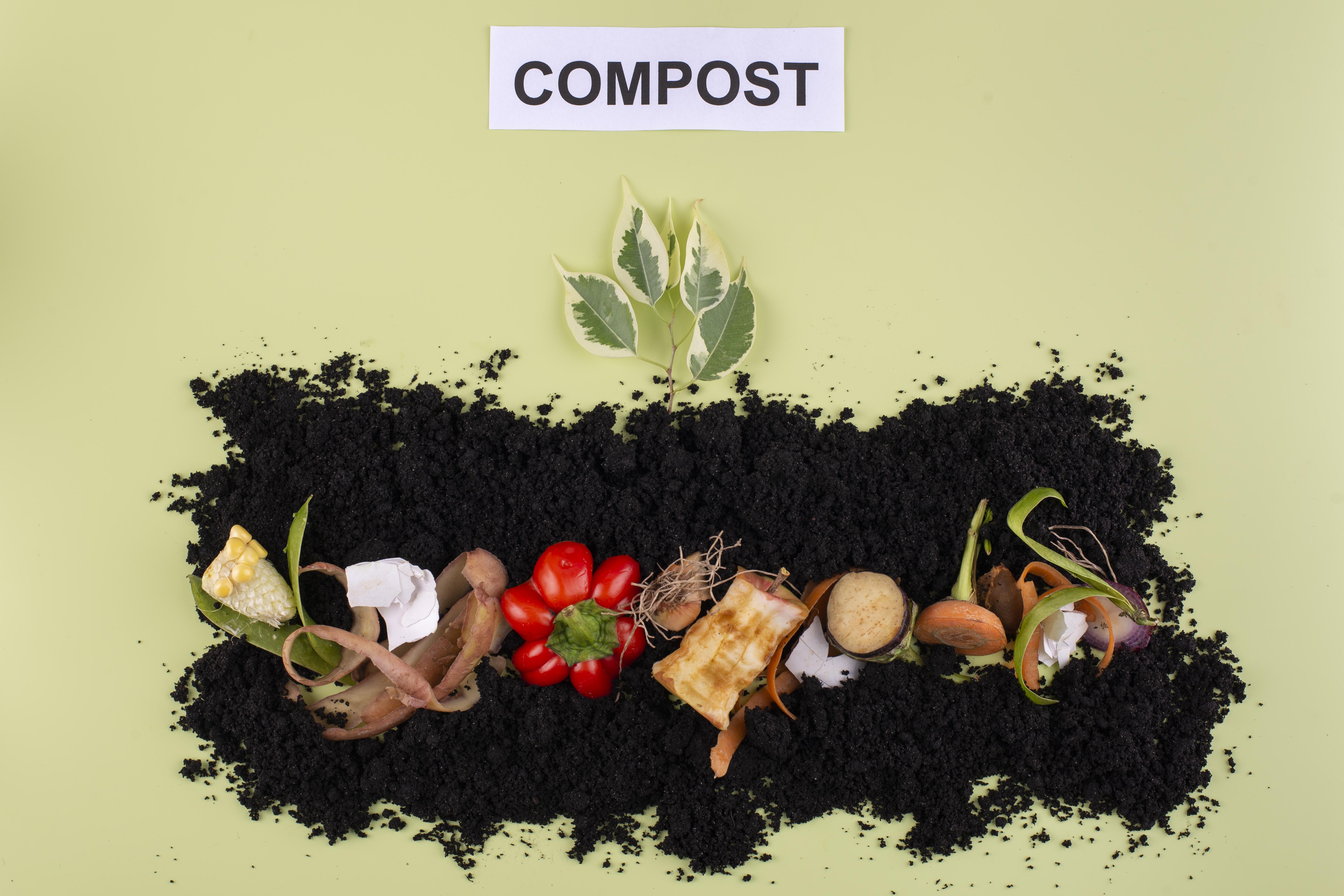composition-of-compost-made-of-rotten-vegetables.jpg