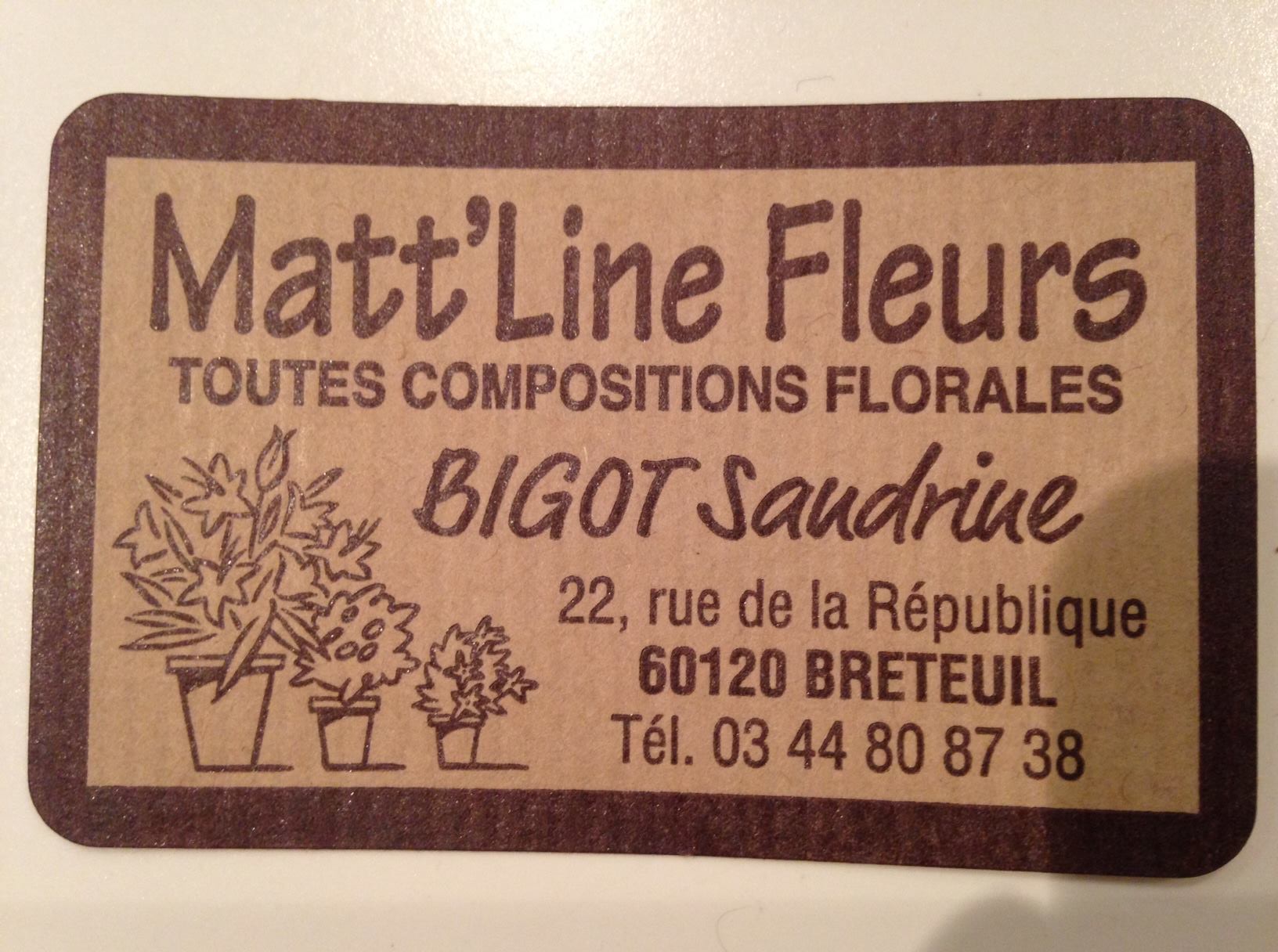 MATT LINE FLEURS.jpg