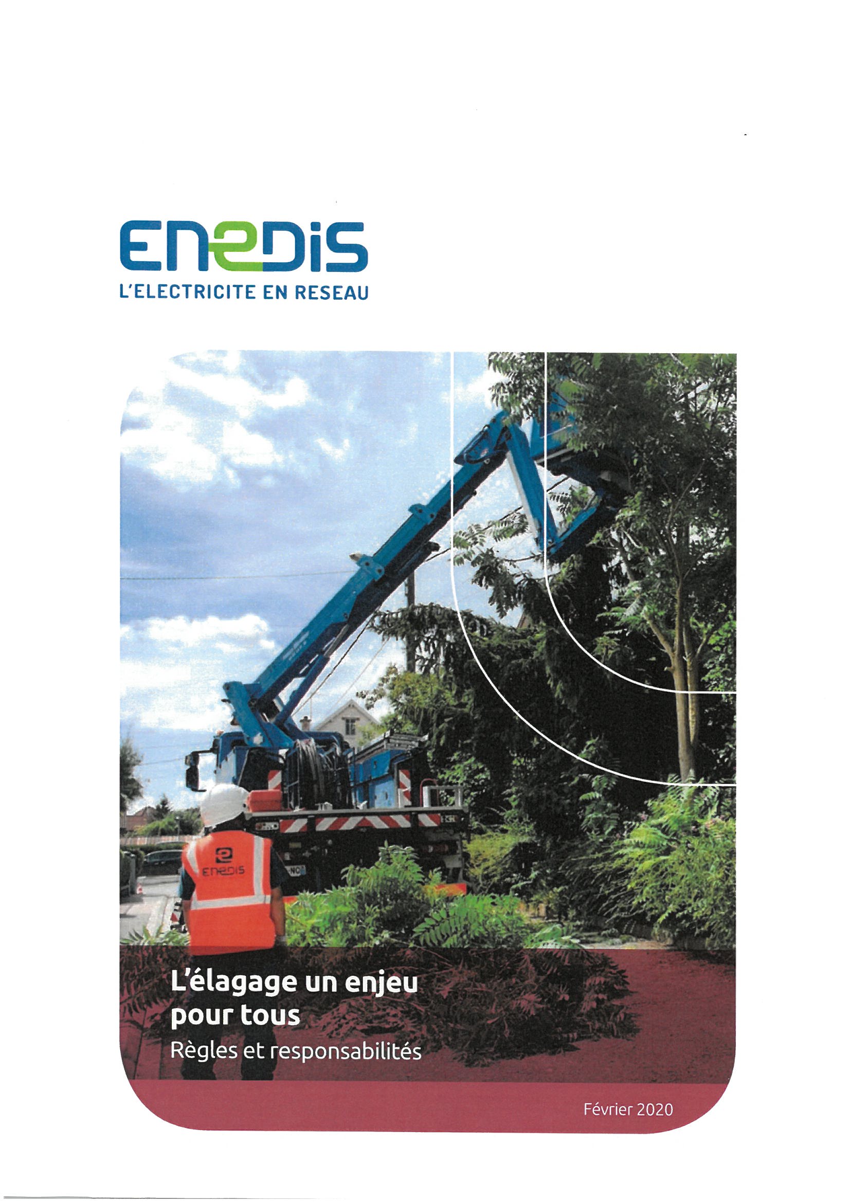 L'élagage aux abords des lignes électriques : un enjeu pour tous.