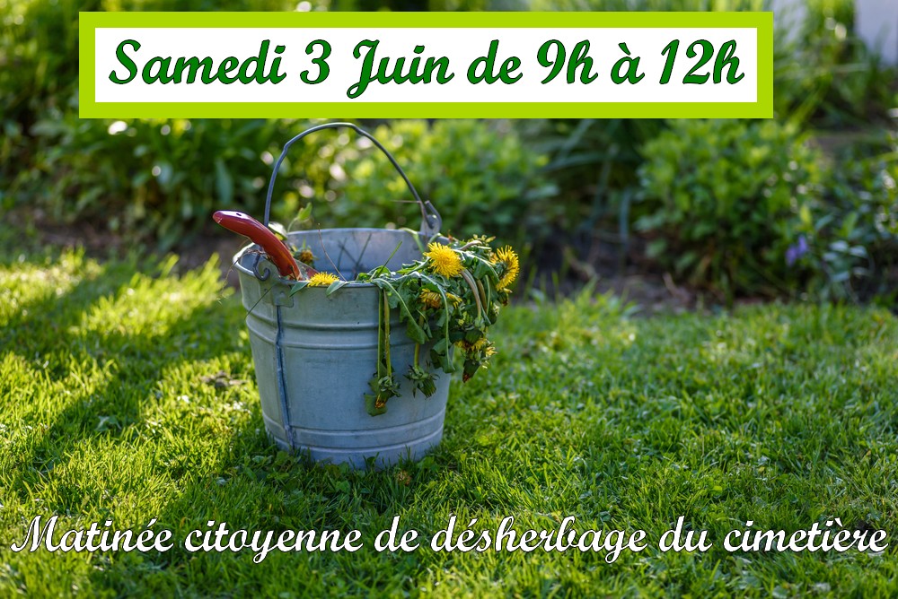 désherbage 3 juin.jpg