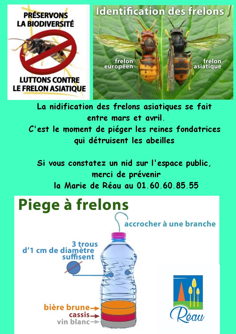 campagne de lutte contre les frelons asiatiques.jpg