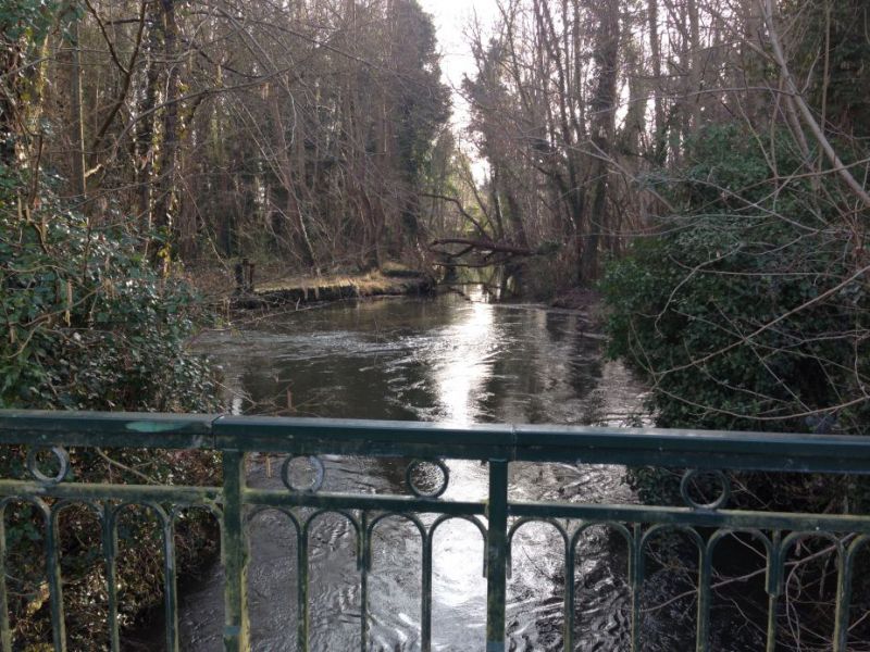 Ecologie biodiversité.JPG