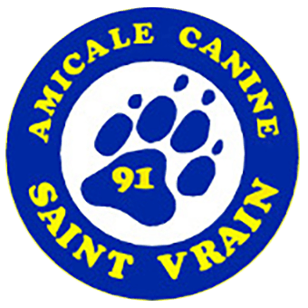 logo-ac91.png