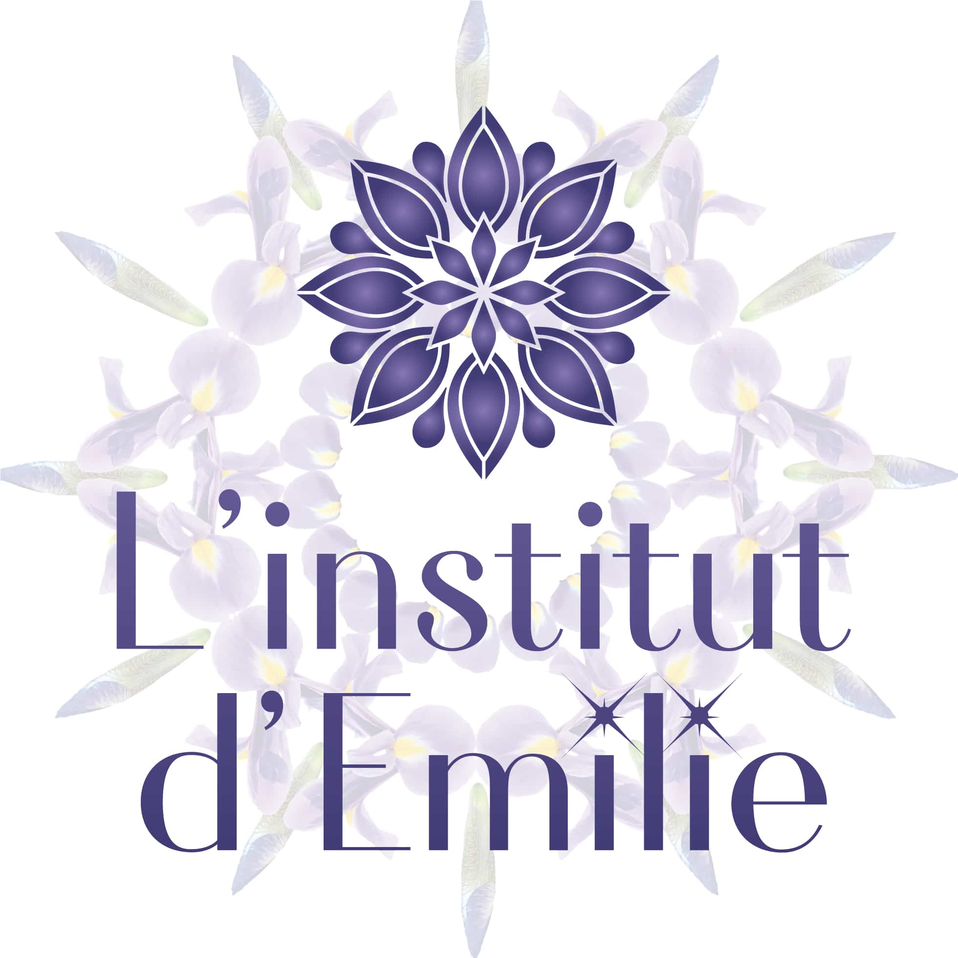LINSTITUT_DEMILIE.jpg