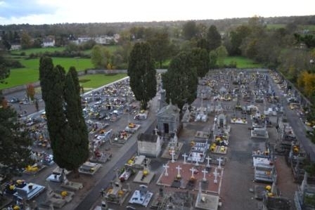 image15.jpg