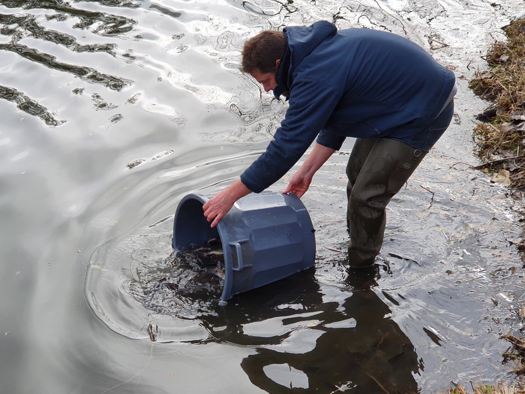 Empoisonnement _9_.jpg