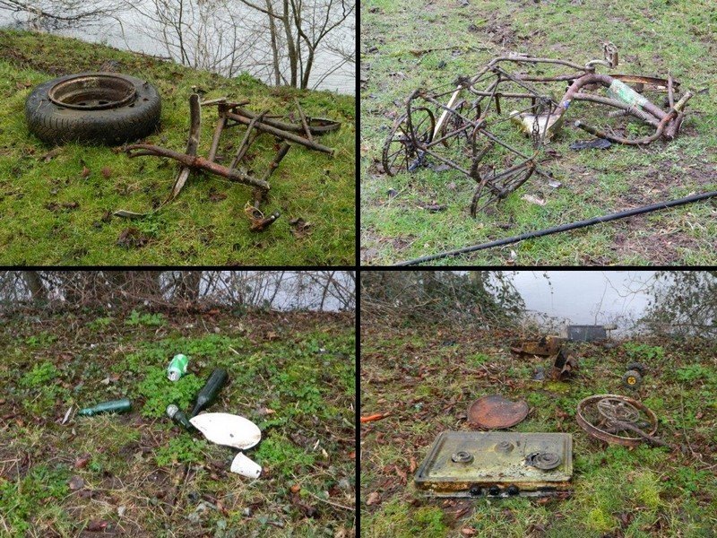 Entretien étang _février__4.jpg