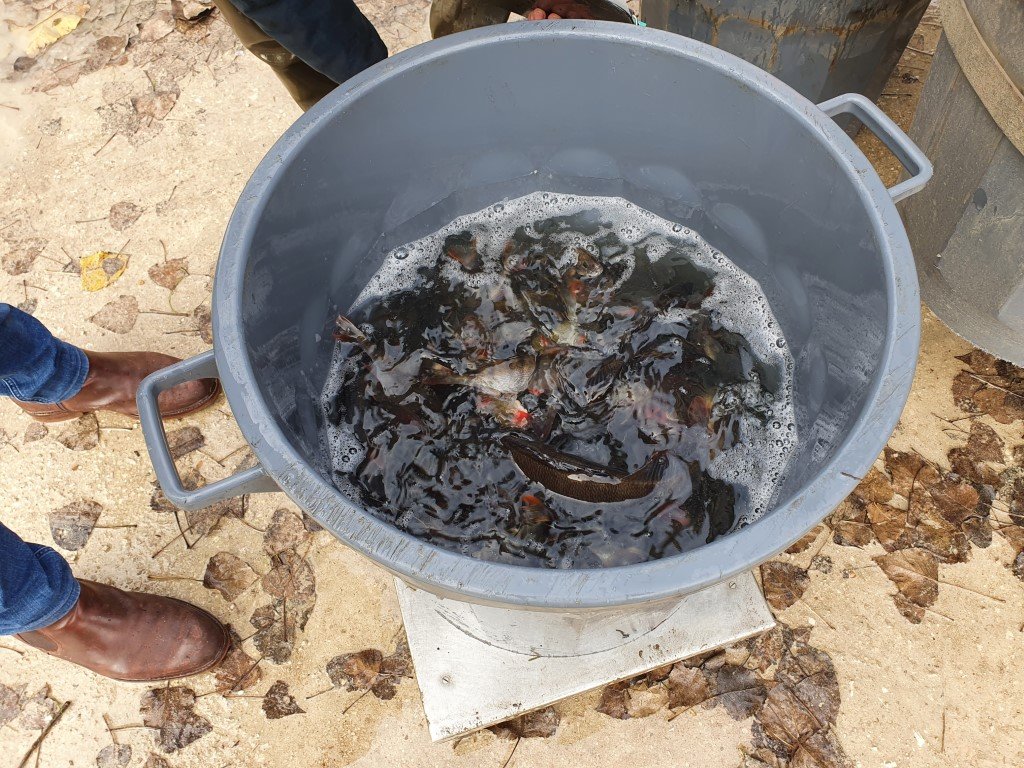 Empoisonnement _7_.jpg