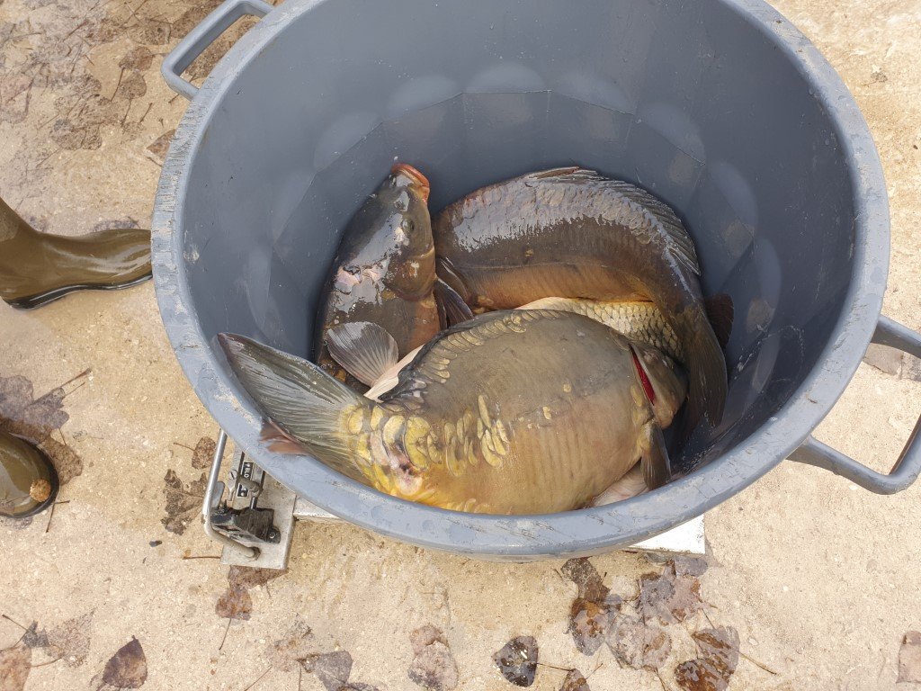 Empoisonnement _2_.jpg