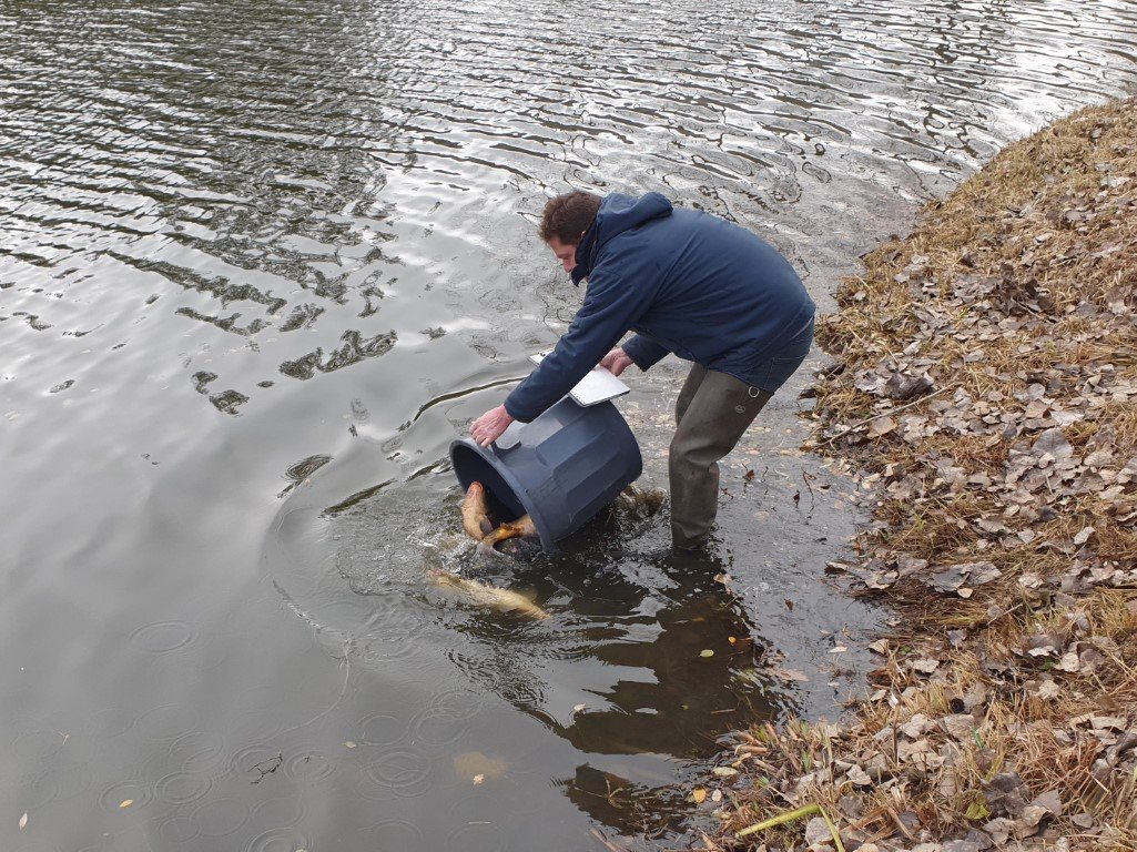 Empoisonnement _4_.jpg