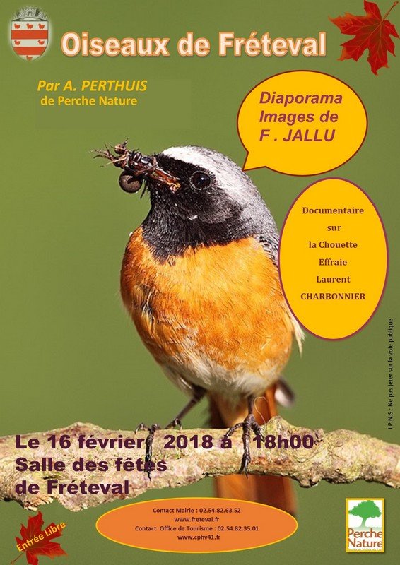 Oiseaux de Fréteval_1.jpg