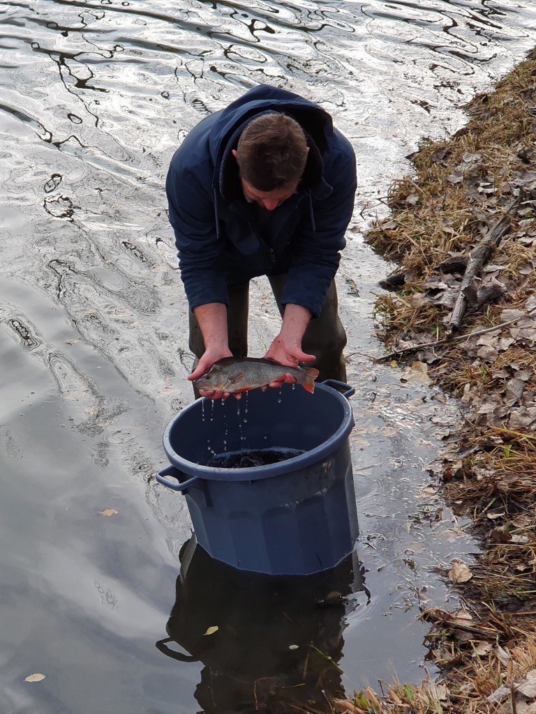 Empoisonnement _8_.jpg