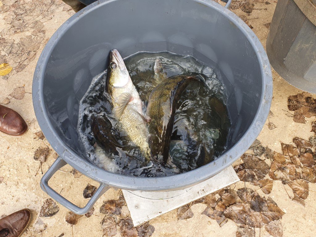 Empoisonnement _5_.jpg