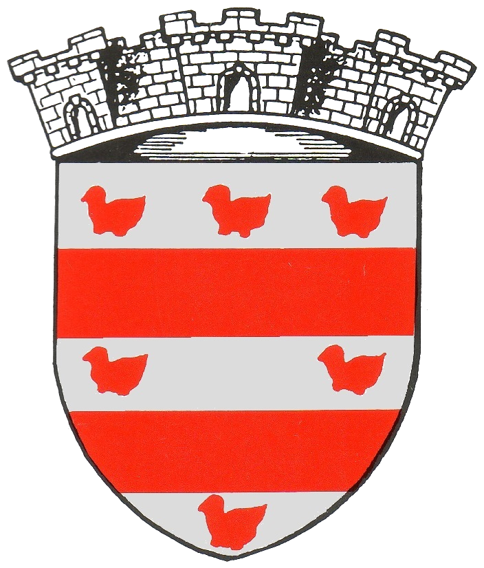Blason_arg_trs.png