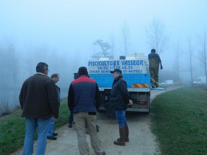 empoissonnement étang st lubin_1.jpg