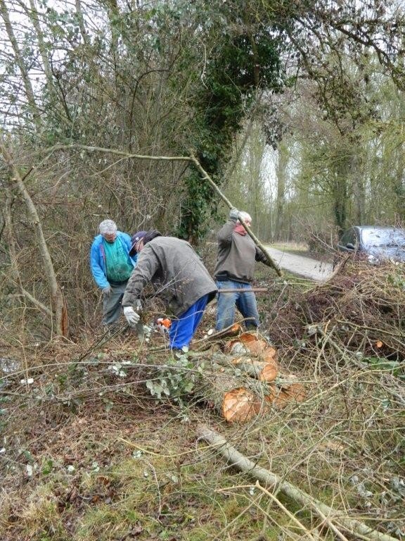 Entretien étang _février__1.jpg