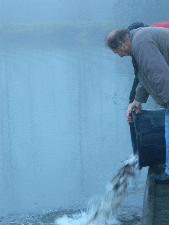 empoissonnement étang st lubin_4.jpg