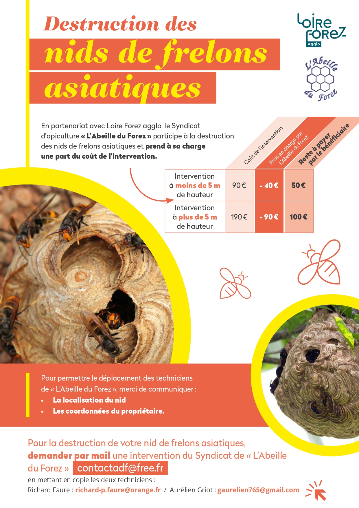 Destruction des nids de frelons asiatiques