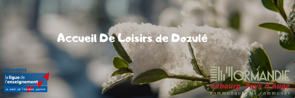 accueil loisirs Dozulé-3.png