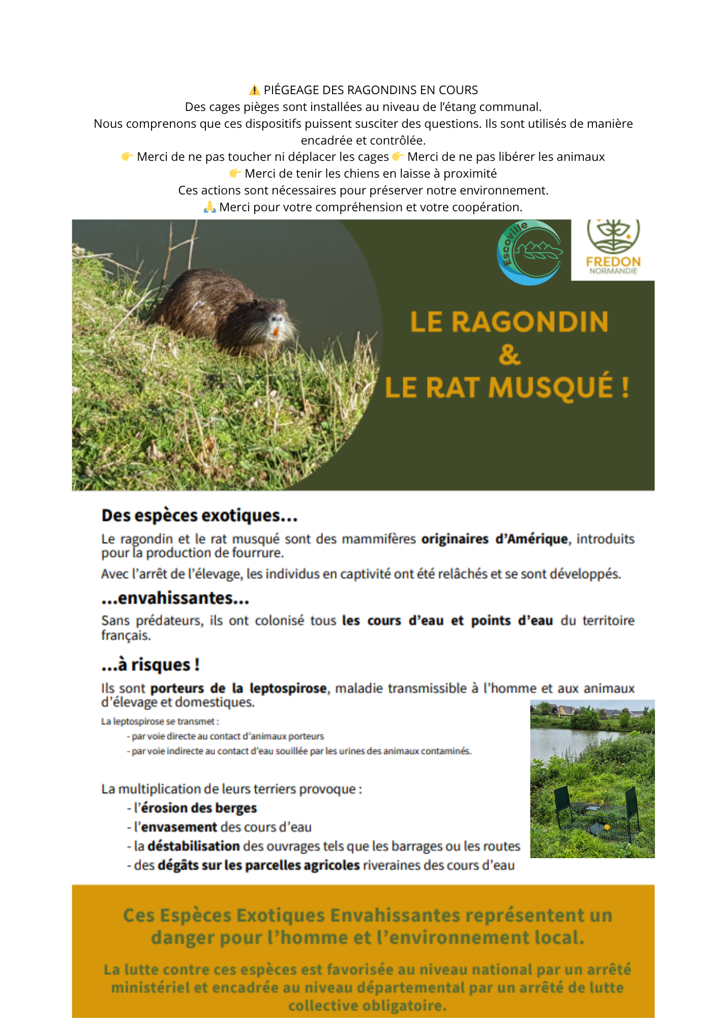 ⚠️ AVIS À LA POPULATION PIÉGEAGE DES RAGONDINS EN COURS Des cages pièges sont installées sur la commune. 👉 Ne pas toucher ni déplacer 👉 Ne pas libérer les animaux 👉 Tenir enfants et chiens à di.png