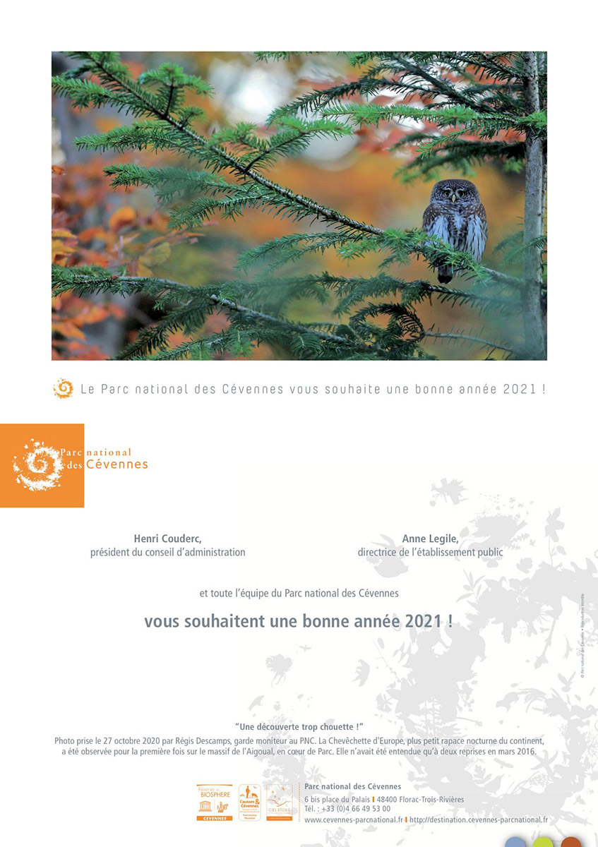 PNC Carte_Voeux_2021.jpg
