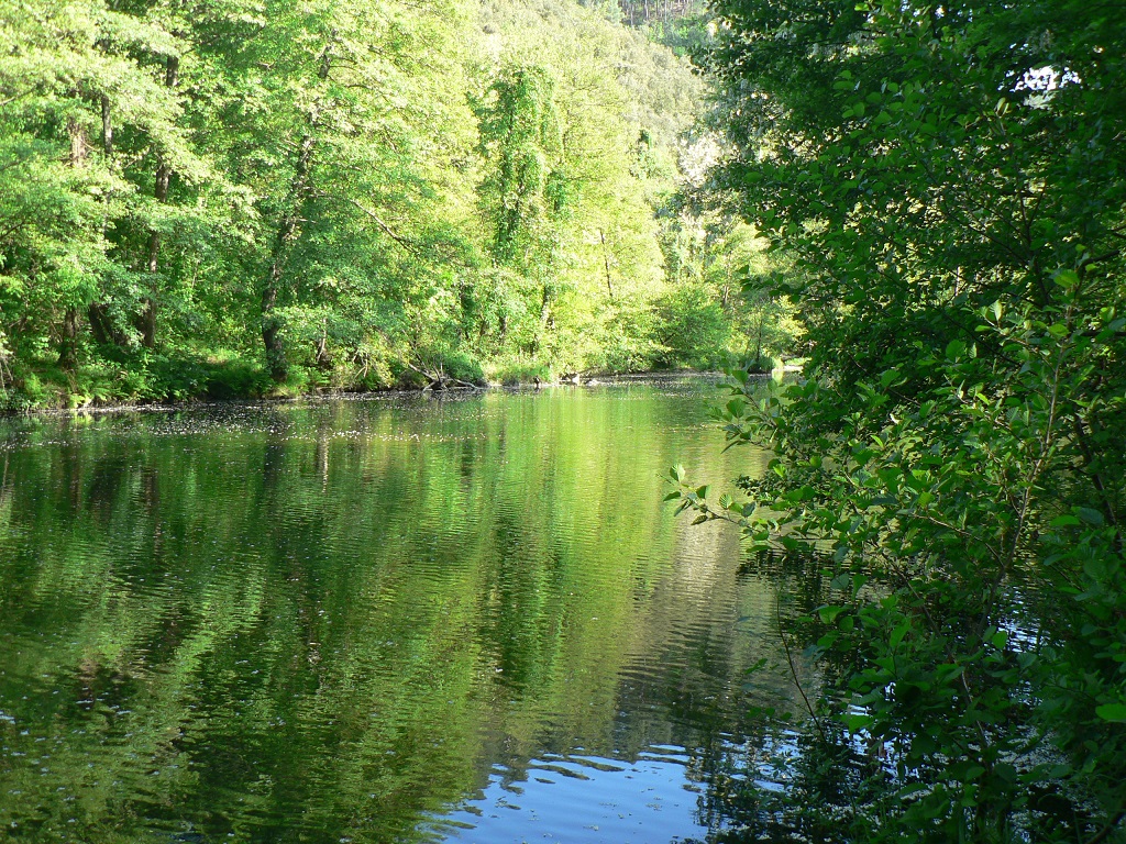 la cèze aux drouilhèdes.JPG