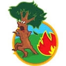 incendie de forêt.jpg