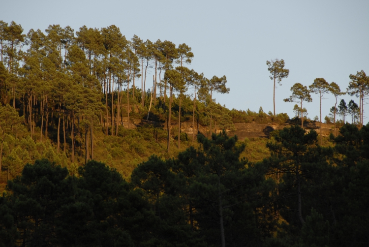 colline face aux drouilhèdes.jpg