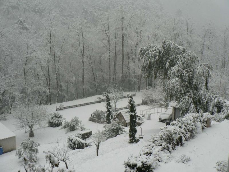neige aux drouilhèdes 2010.JPG