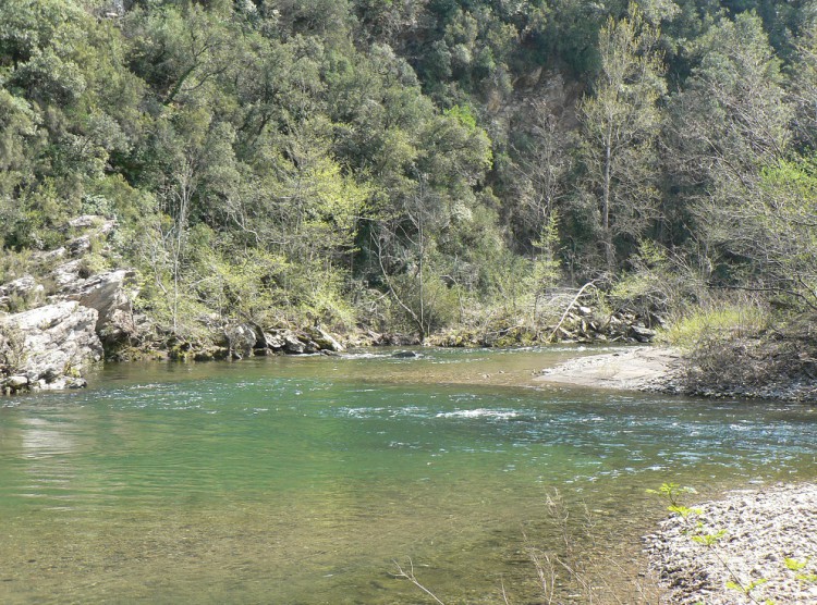 les 2 eaux.jpg