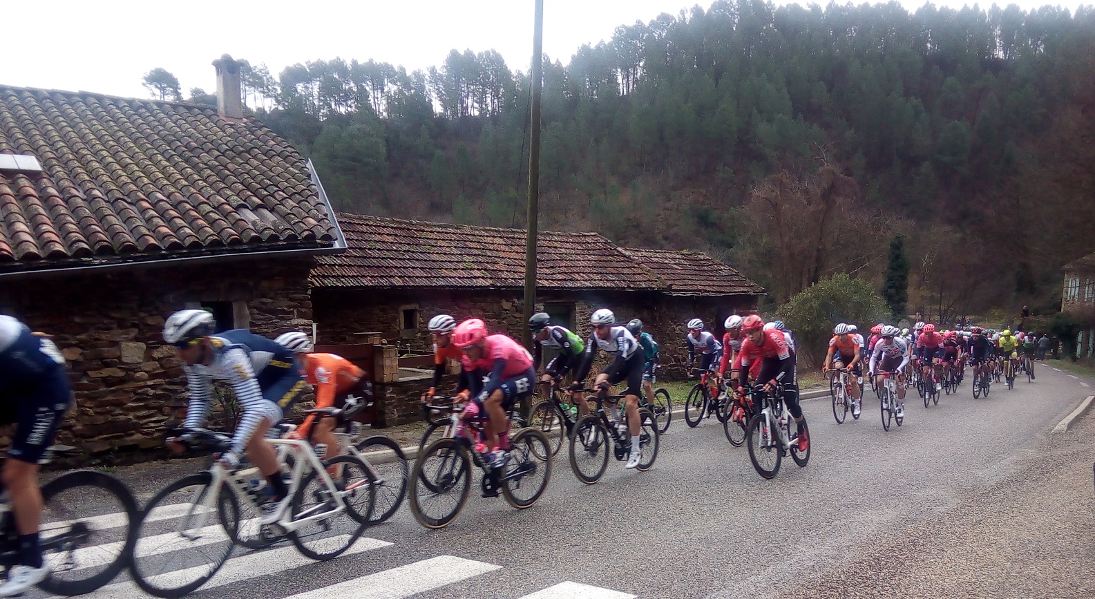 étoile de Bessèges 2021 02 le peloton.jpg