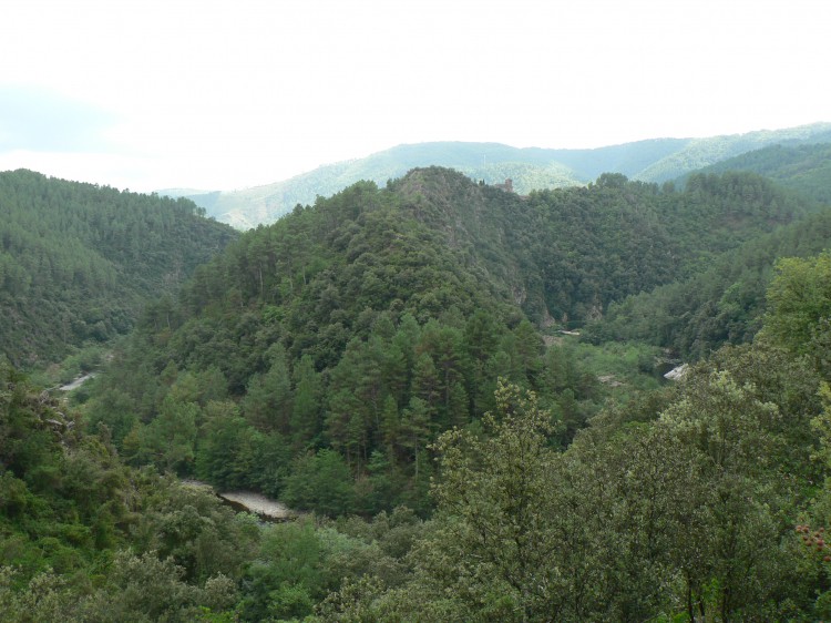 colline du mirandon.jpg