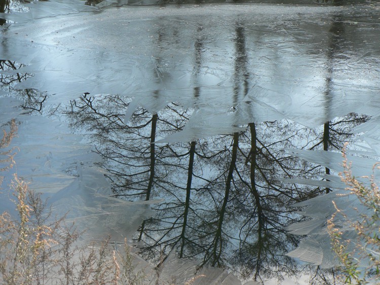 la cèze gelée aux drouilhèdes.jpg
