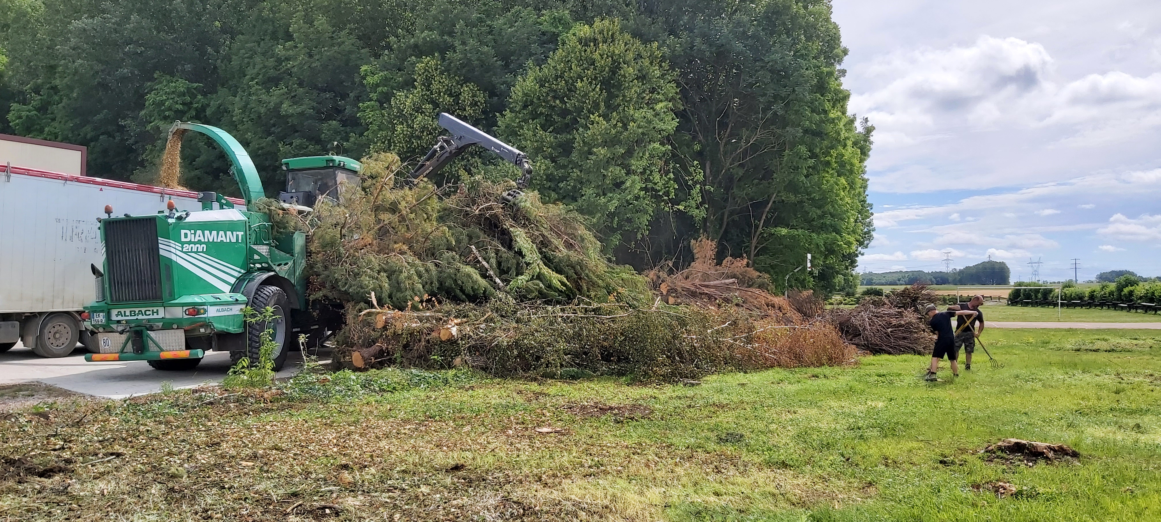 Brouillage des sapins.jpg