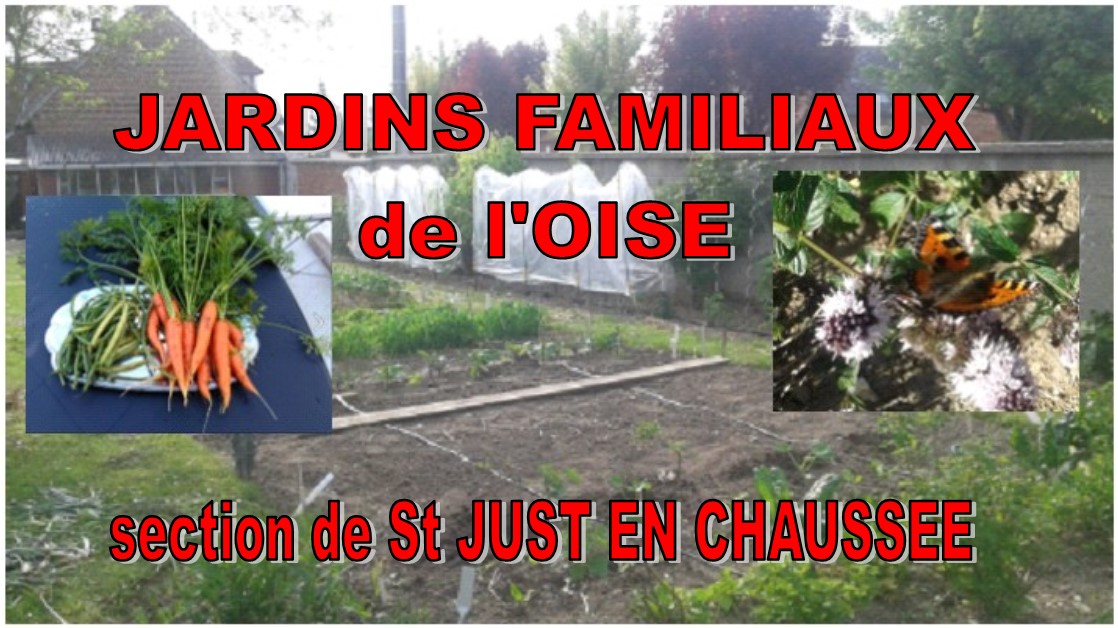 Jardins familiaux.jpg